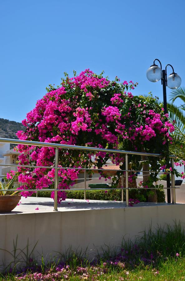 Niko Elen Hotel Stalida Exterior photo